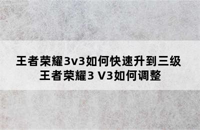 王者荣耀3v3如何快速升到三级 王者荣耀3 V3如何调整